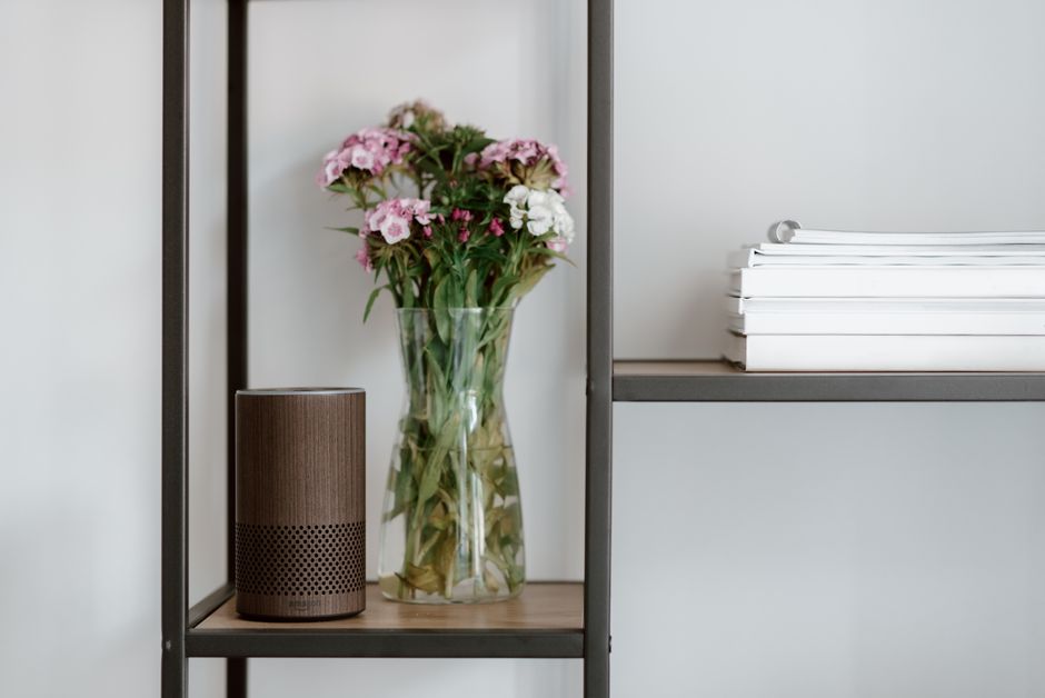 Smart home hub and voice assistant